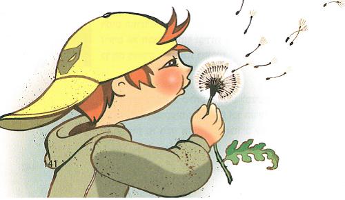 (בספר איור של נוגה ושביט משוחחים)